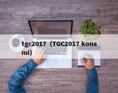 tgc2017（TGC2017 konami）